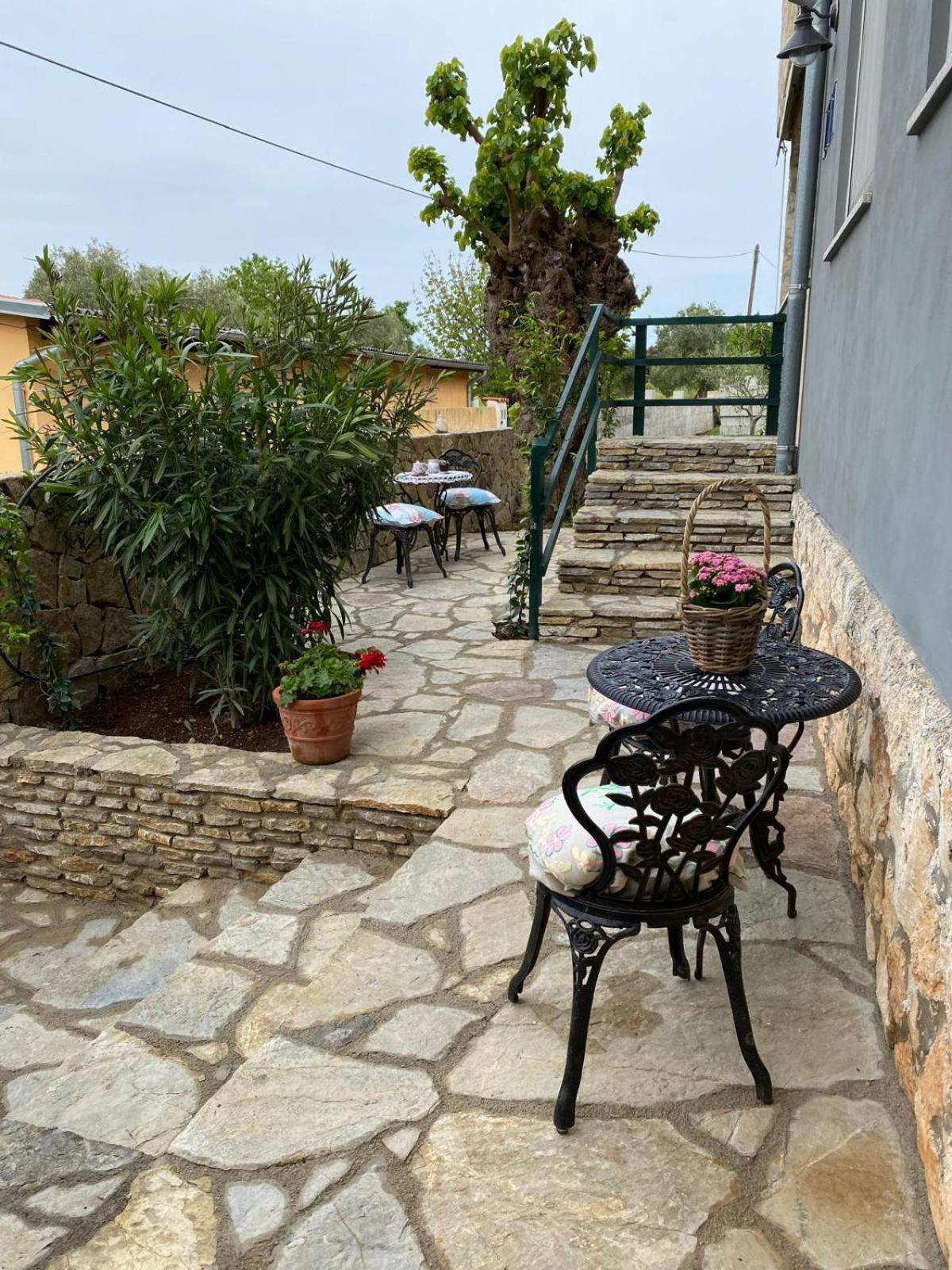 Senka Apartma *